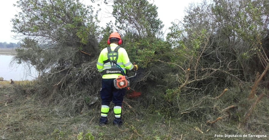 Millora dentorns naturals a diversos municipis del Montsi