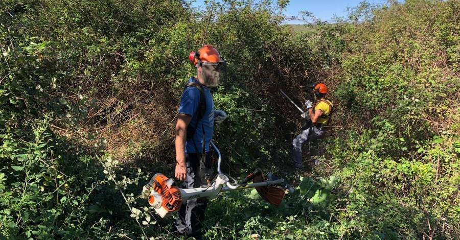 Campaña de limpieza de caminos y senderos del GR92 al Montsià | EbreActiu.cat, revista digital de ocio activo | Terres de l’Ebre... Campaña de limpieza de caminos y senderos del GR92 al Montsià | EbreActiu.cat, revista digital de ocio activo | Terres de l’Ebre...