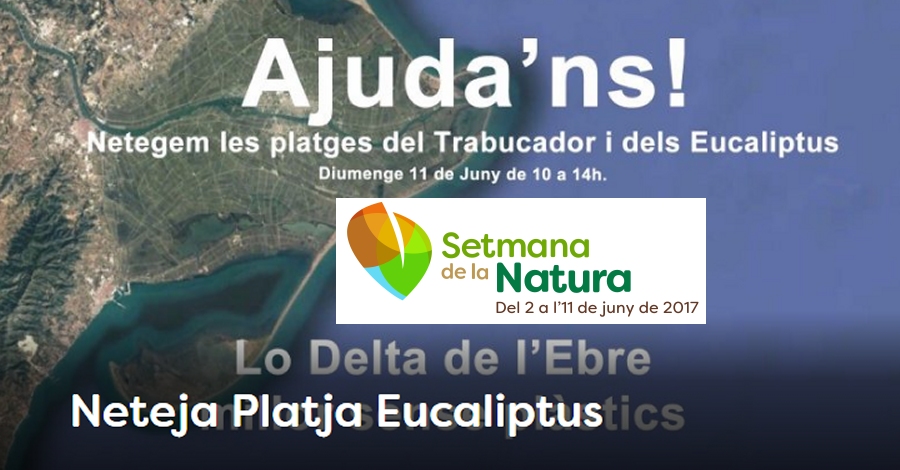Limpieza playa Eucaliptus