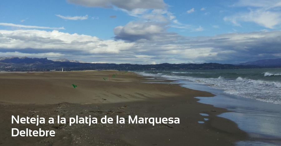 Neteja a la platja de la Marquesa Neteja a la platja de la Marquesa