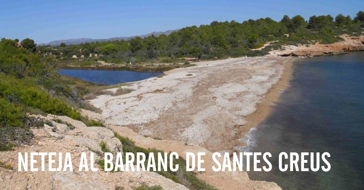 Jornada de voluntariado y educaci�n ambiental en la Pobla de Massaluca