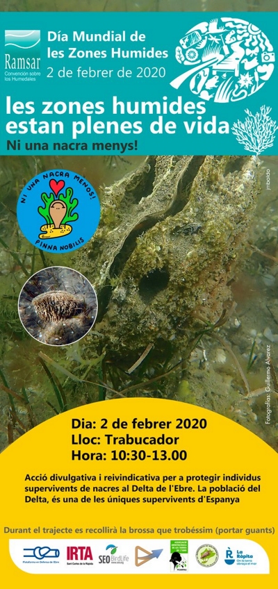 Les zones humides estan plenes de vida. Ni una nacra menys! Les zones humides estan plenes de vida. Ni una nacra menys!