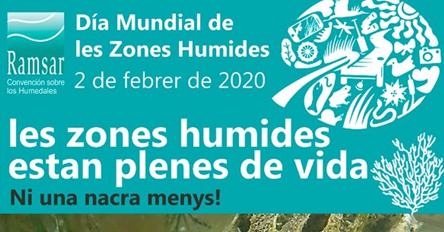 Las zonas h�medas est�n llenas de vida. Ni una nacra menos!