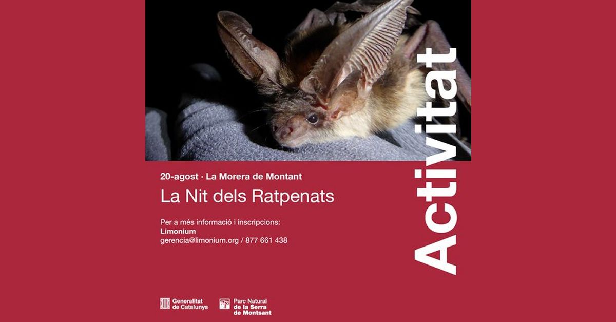 La Nit dels Ratpenats La Nit dels Ratpenats