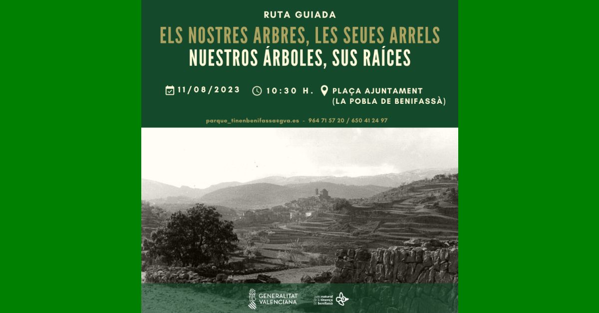 Nuestros �rboles, sus raices
