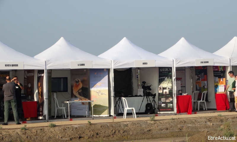 La tercera edici del Delta Birding Festival ja t data | EbreActiu.cat, revista digital d’oci actiu | Terres de l’Ebre ...