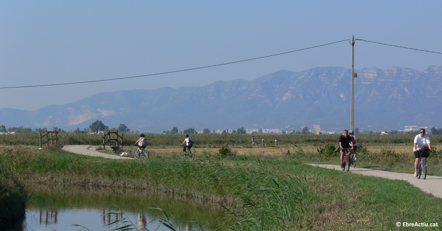 Sortida en bicicleta pel Delta per celebrar el Dia Europeu dels Parcs