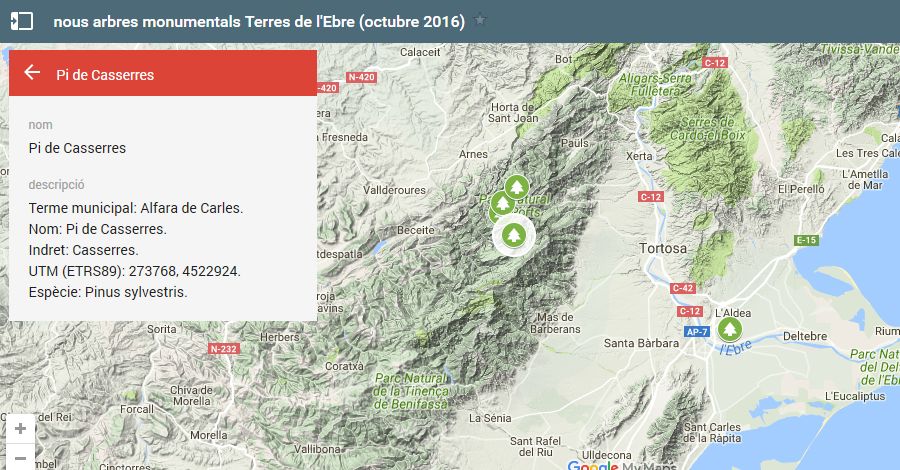 Territori i Sostenibilitat declara 59 nous arbres i 1 arbreda monumentals
