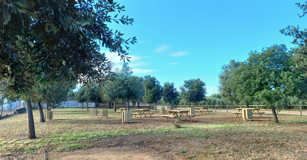 Benicarl estrena una nova zona recreativa al costat de l’aljub de la Fossa del Pastor | EbreActiu.cat, revista digital d’oci actiu | Terres de l’Ebre ...