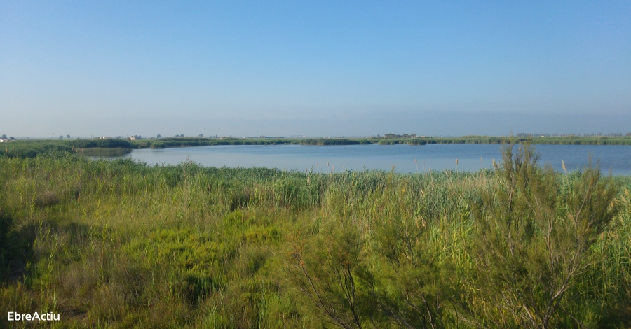 Nova edició del Curs «Punt d’informació al Parc Natural del Delta de l’Ebre» | EbreActiu.cat, revista digital d’oci actiu | Terres de l’Ebre ... Nova edició del Curs «Punt d’informació al Parc Natural del Delta de l’Ebre» | EbreActiu.cat, revista digital d’oci actiu | Terres de l’Ebre ...