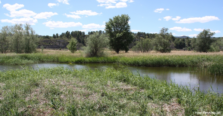 Nova jornada de voluntariat a la Reserva Natural de Sebes de Flix