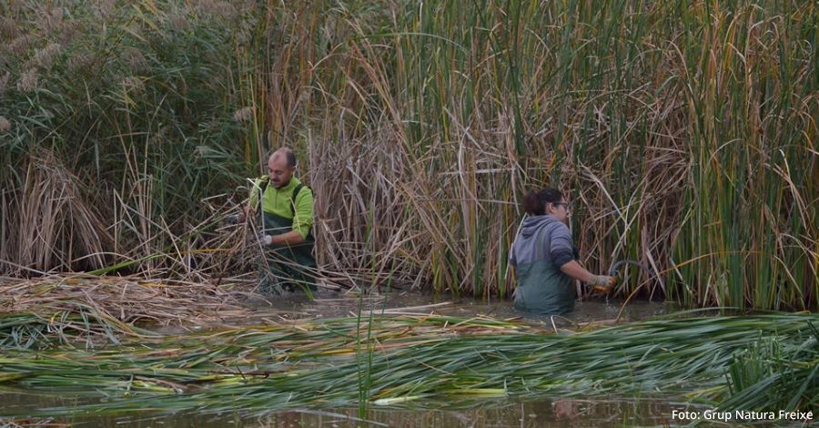 Nova jornada de voluntariat a la Reserva Natural de Sebes (Flix) dins del projecte VOLCAT