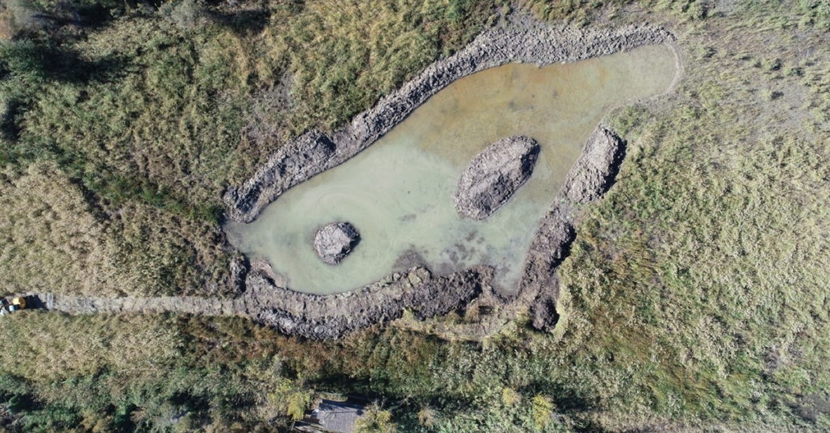 Nova llacuna a la Reserva Natural de Sebes
