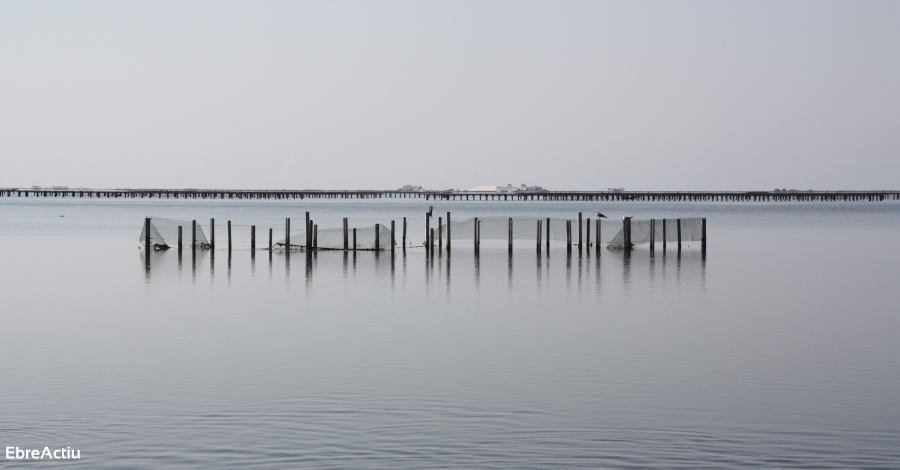 Delta Ebre Port presenta una nova ruta de x�rter n�utic que uneix Barcelona i el Delta de l&rsquo;Ebre | EbreActiu.cat, revista digital d&rsquo;oci actiu | Terres de l&rsquo;Ebre ...