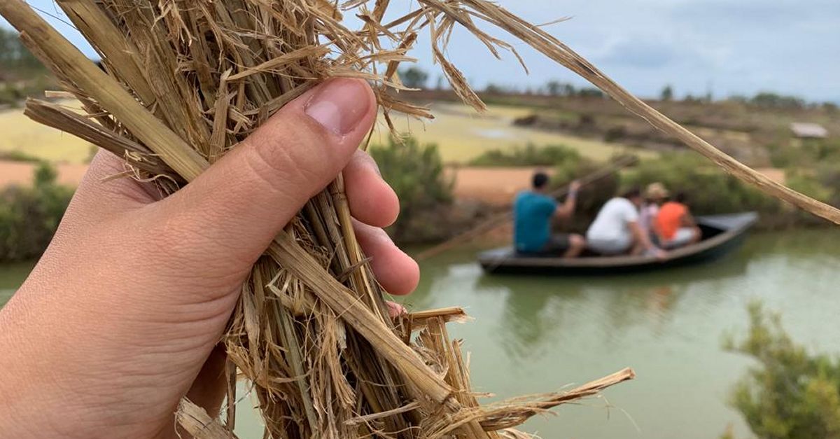Aquest estiu, nova visita sensorial per descobrir el Delta de lEbre