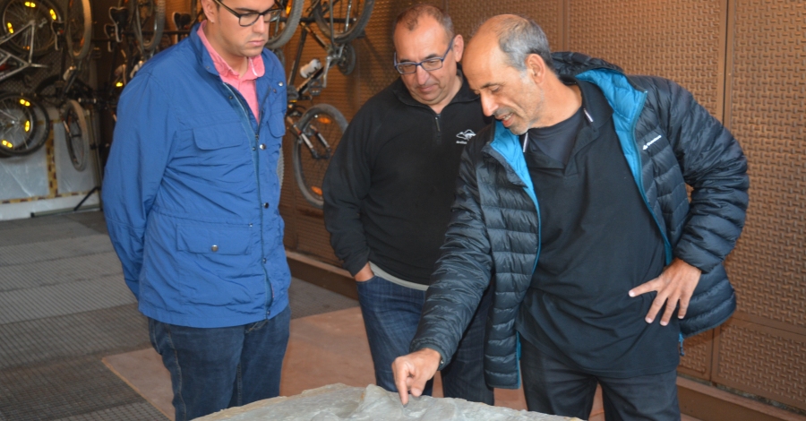 Nova troballa important de petjades de dinosaures a Morella