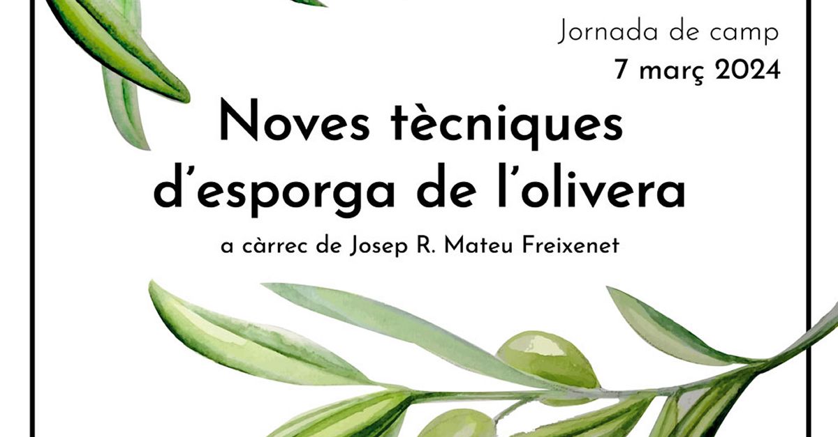 Jornada de Camp �Noves t�cniques d�esporga de l�olivera�. 