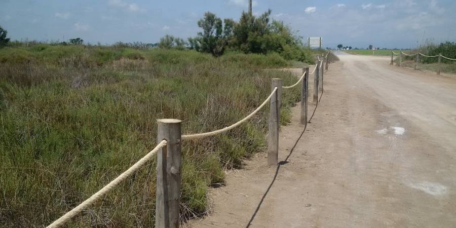 El Parc Natural del Delta de l&rsquo;Ebre inicia la protecci� de la vegetaci� natural de la platja del Serrallo | EbreActiu.cat, revista digital d&rsquo;oci actiu | Terres de l&rsquo;Ebre ...