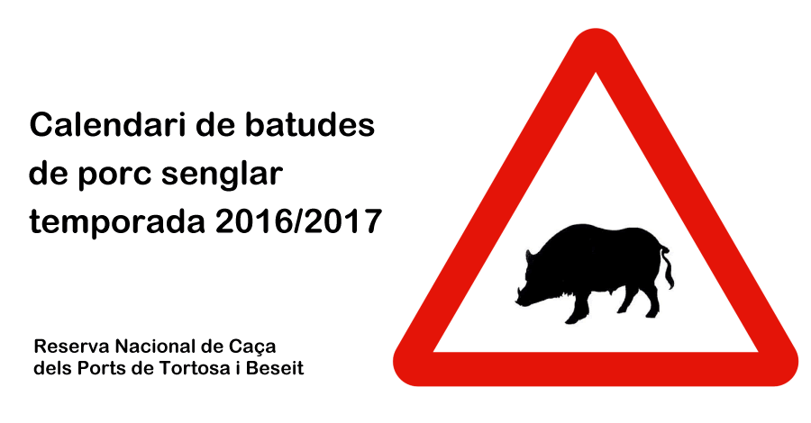 Publicat el calendari de batudes de porc senglar per a la temporada 2016/17
