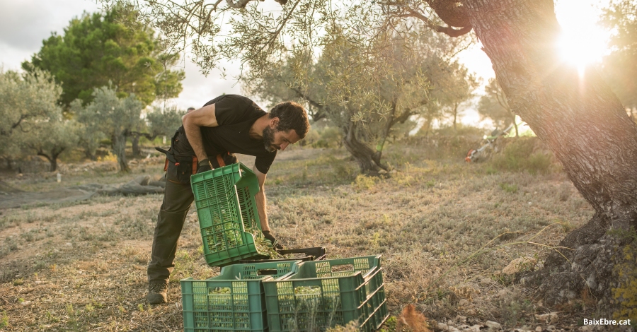 El Baix Ebre s�apunta a la segona edici� de Benvinguts a Pag�s