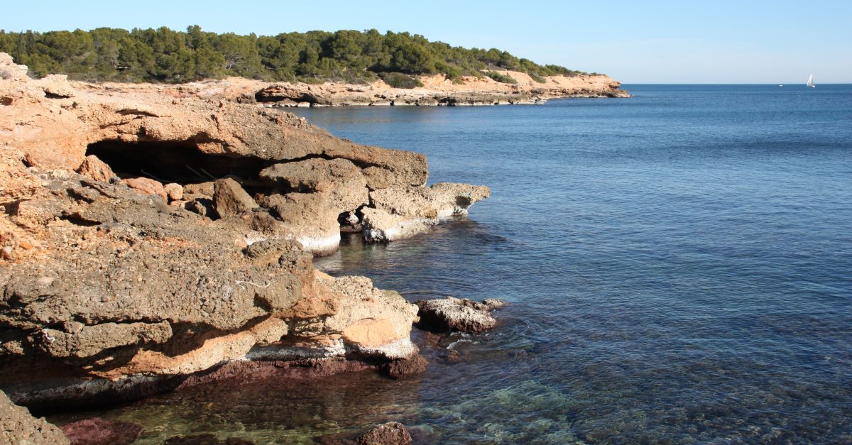 Tot a punt per a la 9a edici de la Caminada Popular de l’IDECE | EbreActiu.cat, revista digital d’oci actiu | Terres de l’Ebre ...