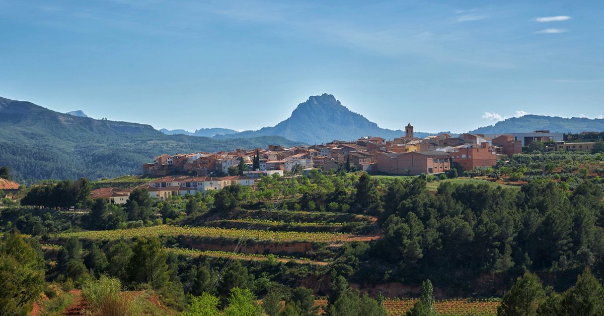 El Cicle Estacions torna a Bot amb propostes culturals al voltant de lart, la natura i el vi