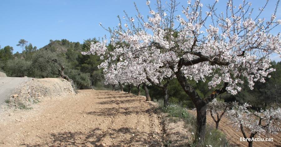 Dissenyar finques agrcoles ms eficaces i sostenibles