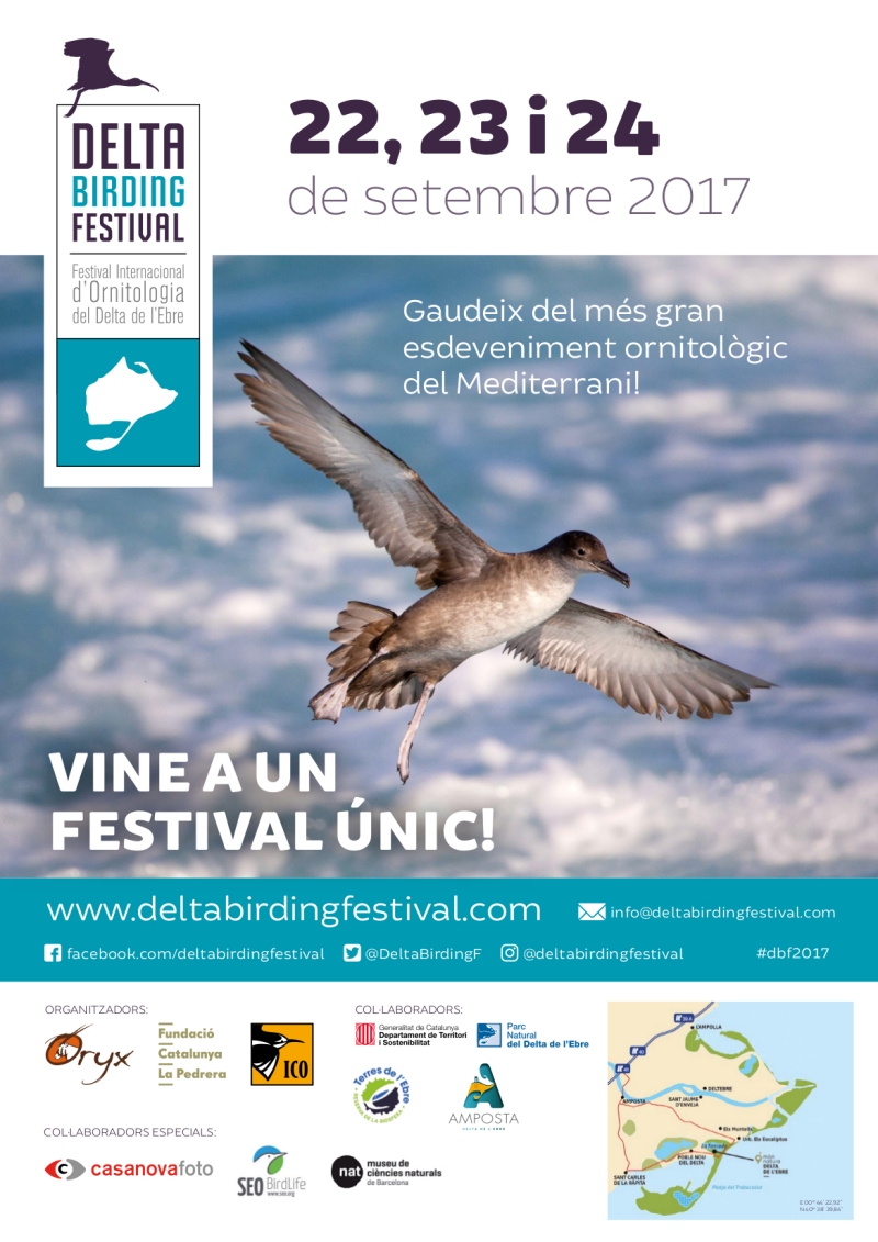 Avui comença la 4a edició del Delta Birding Festival | EbreActiu.cat, revista digital d’oci actiu | Terres de l’Ebre ... Avui comença la 4a edició del Delta Birding Festival | EbreActiu.cat, revista digital d’oci actiu | Terres de l’Ebre ...