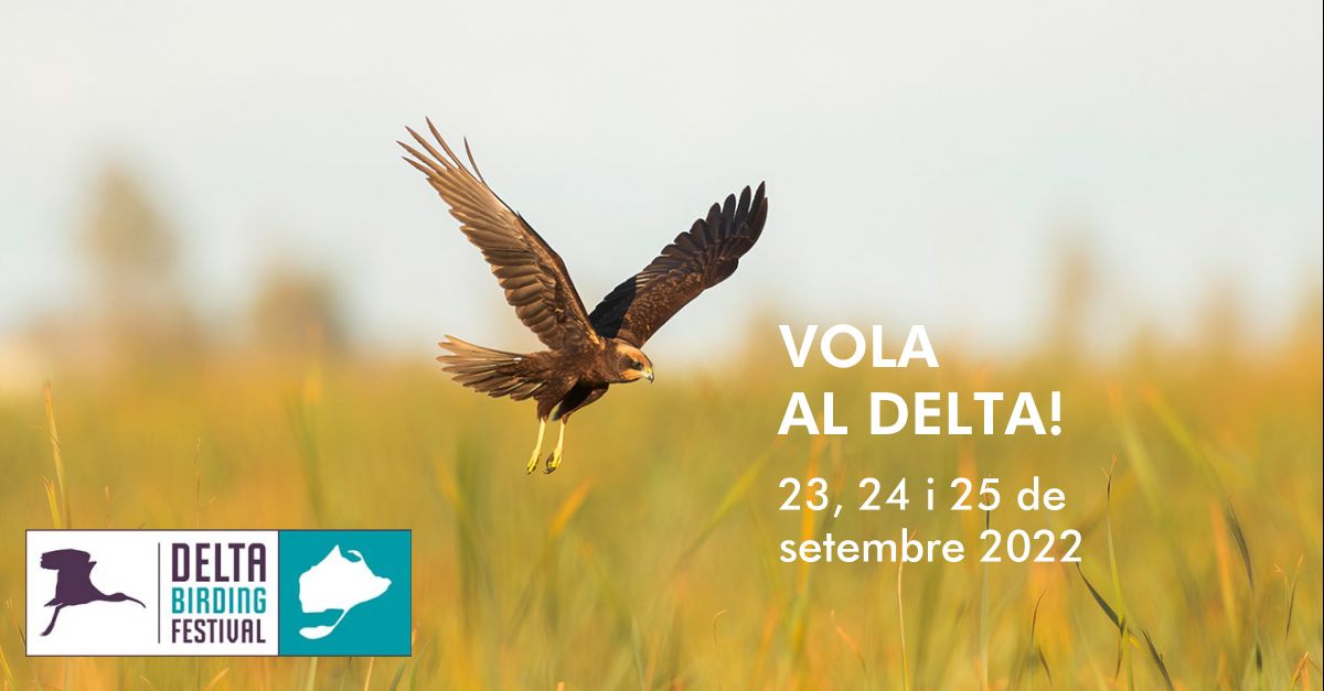Aquest setembrevola al Delta!