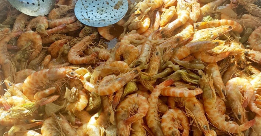 La XVII Diada del Llagostí reparteix 1.200 tapes del producte estrella de la Ràpita | EbreActiu.cat, revista digital d’oci actiu | Terres de l’Ebre ... La XVII Diada del Llagostí reparteix 1.200 tapes del producte estrella de la Ràpita | EbreActiu.cat, revista digital d’oci actiu | Terres de l’Ebre ...