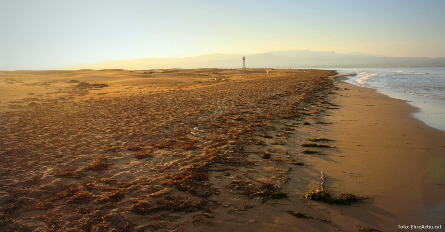 Disset platges de les Terres de l�Ebre guardonades amb el distintiu �Platges verges�