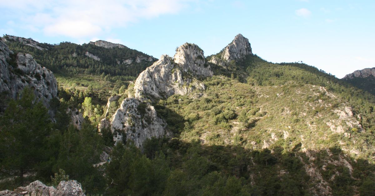 Una nova proposta dEbreRic, obrint-nos a nous camins
