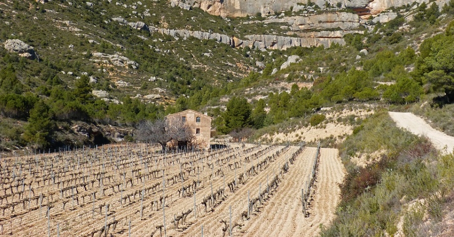 Escaladei acull la celebraci� del Dia del Paisatge.0 i els 10 anys de la Candidatura del Priorat a patrimoni de la UNESCO