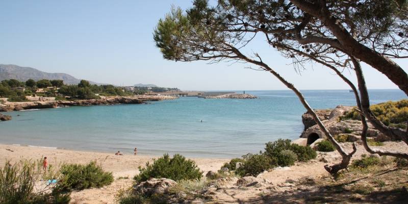 El 89% de les zones de bany de Catalunya reben una qual�lificaci� excel�lent