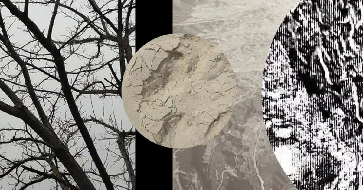 Lo Pati i Euf�nic organitzen una exposici� sonora i lum�nica i tres instal�lacions gestades a Baladre