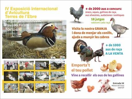 Tortosa acoger� una nueva edici�n de la la Exposici�n Internacional de Avicultura Terres de l&rsquo;Ebre | EbreActiu.cat, revista digital de ocio activo | Terres de l&rsquo;Ebre...