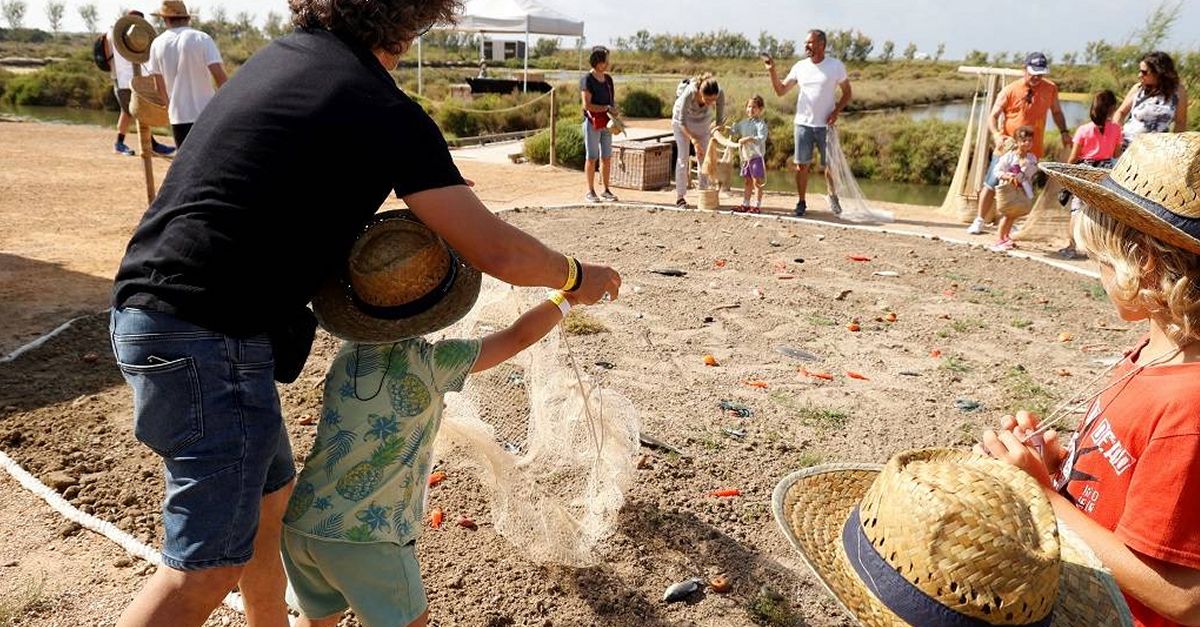 Mónnatura Delta de l’Ebre celebrarà la 9a Festa dels Menuts el 3 i 4 de juny | EbreActiu.cat, revista digital d’oci actiu | Terres de l’Ebre ... Mónnatura Delta de l’Ebre celebrarà la 9a Festa dels Menuts el 3 i 4 de juny | EbreActiu.cat, revista digital d’oci actiu | Terres de l’Ebre ...