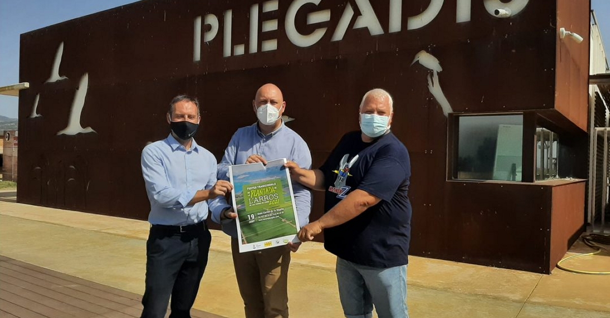 La Festa de la Plantada de larrs arriba a la Rpita amb gran varietat dactivitats