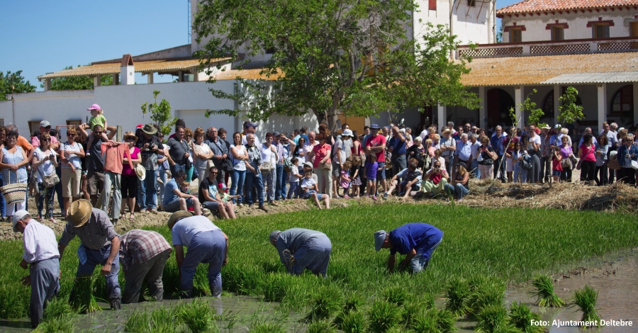 Deltebre celebra les Festes de l�Arr�s consolidant el model d��xit de l�any anterior