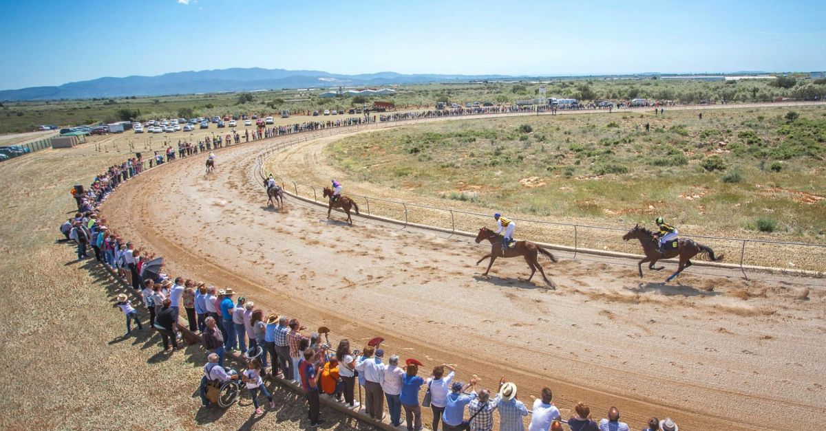 Voleu exposar el vostre producte a la 19a Fira Gastronòmica de la Sénia? | EbreActiu.cat, revista digital d’oci actiu | Terres de l’Ebre ... Voleu exposar el vostre producte a la 19a Fira Gastronòmica de la Sénia? | EbreActiu.cat, revista digital d’oci actiu | Terres de l’Ebre ...