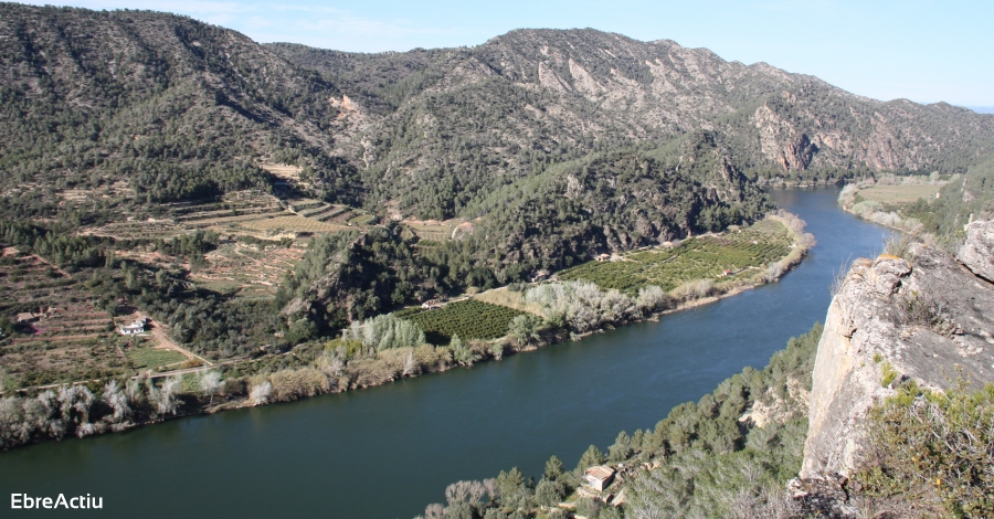 Com afrontar la nostra estratgia de marca al mercat digital | EbreActiu.cat, revista digital d’oci actiu | Terres de l’Ebre ...