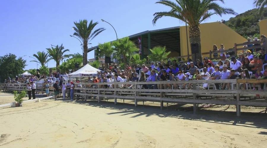 El Campionat Nacional de Cavalls Frisons aplega m�s de 1.500 persones de p�blic | EbreActiu.cat, revista digital d&rsquo;oci actiu | Terres de l&rsquo;Ebre ...