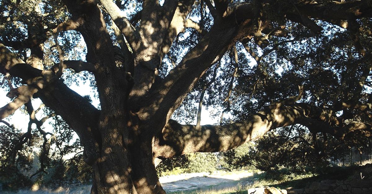 El territori Human Land, on la naturalesa et transporta a un m�n nou | EbreActiu.cat, revista digital d&rsquo;oci actiu | Terres de l&rsquo;Ebre ...
