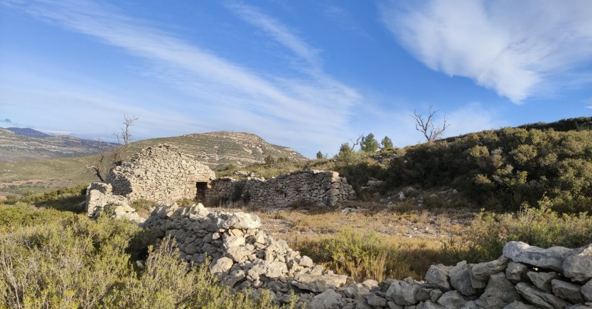 La pluralitat esportiva es consolida en el territori Human Land | EbreActiu.cat, revista digital d’oci actiu | Terres de l’Ebre ...