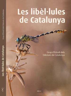 El Museu de les Terres de l&rsquo;Ebre acull dem� divendres una jornada dedicada a les lib�l�lules  | EbreActiu.cat, revista digital d&rsquo;oci actiu | Terres de l&rsquo;Ebre ...