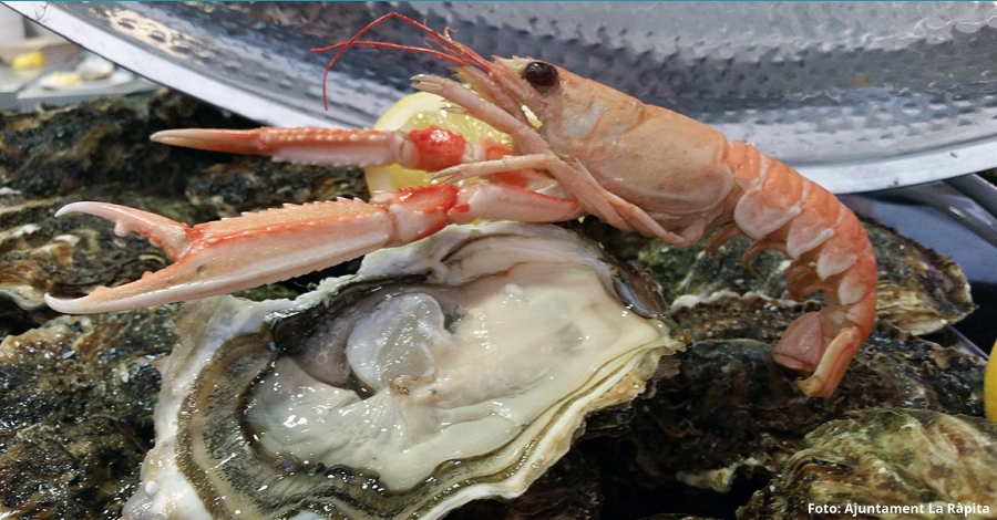 L’escamarlà i l’ostra arrissada, protagonistes de les properes Jornades Gastronòmiques de La Ràpita | EbreActiu.cat, revista digital d’oci actiu | Terres de l’Ebre ... L’escamarlà i l’ostra arrissada, protagonistes de les properes Jornades Gastronòmiques de La Ràpita | EbreActiu.cat, revista digital d’oci actiu | Terres de l’Ebre ...