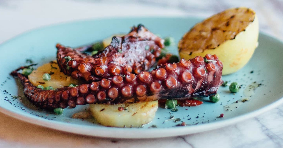 Les Jornades del Polp de Benicarl diversifiquen loferta i es concentraran en bars i restaurants