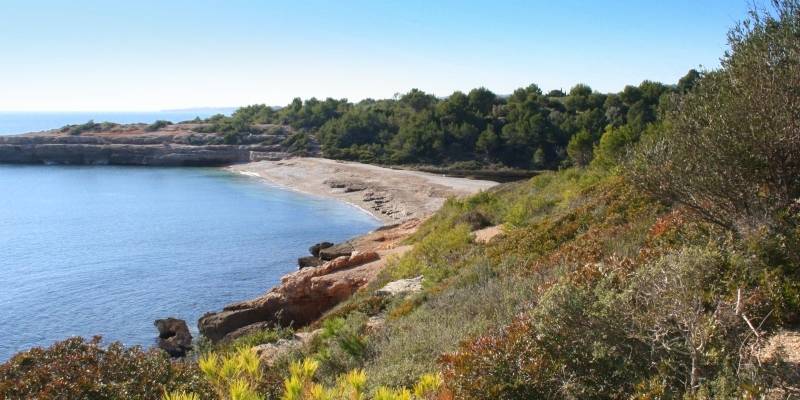 La informaci� actualitzada sobre l�estat de les platges, disponible a l�aplicaci� PlatgesCat