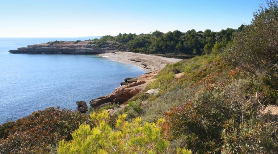 La informaci actualitzada sobre l’estat de les platges, disponible a l’aplicaci PlatgesCat | EbreActiu.cat, revista digital d’oci actiu | Terres de l’Ebre ...