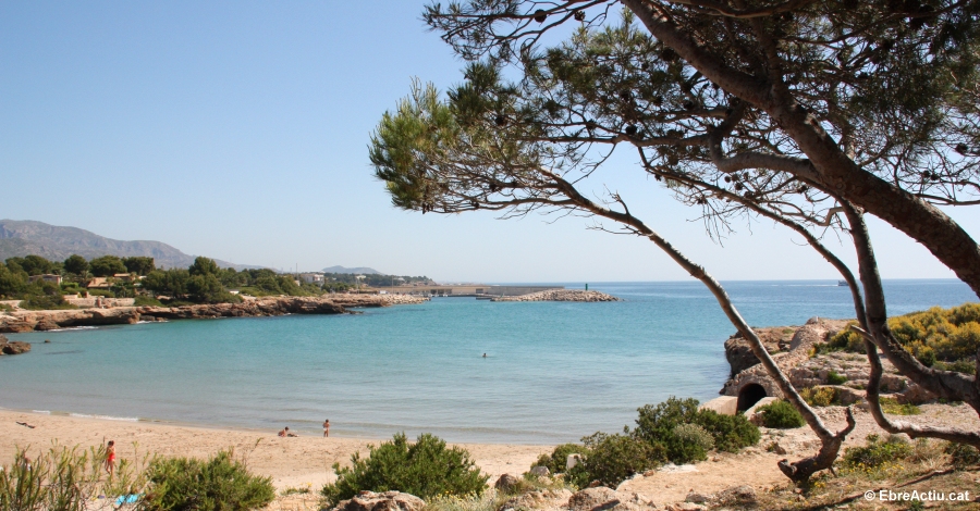 Onze platges i dos ports esportius de les Terres de l�Ebre reben el distintiu Bandera Blava 2017